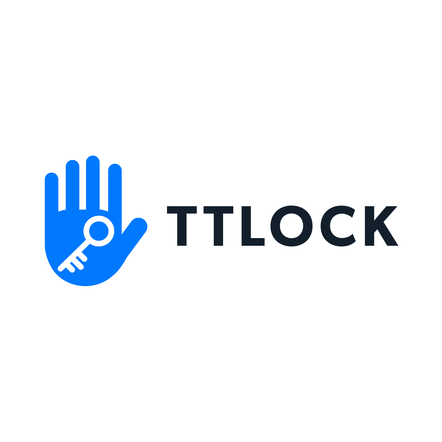 TT Lock